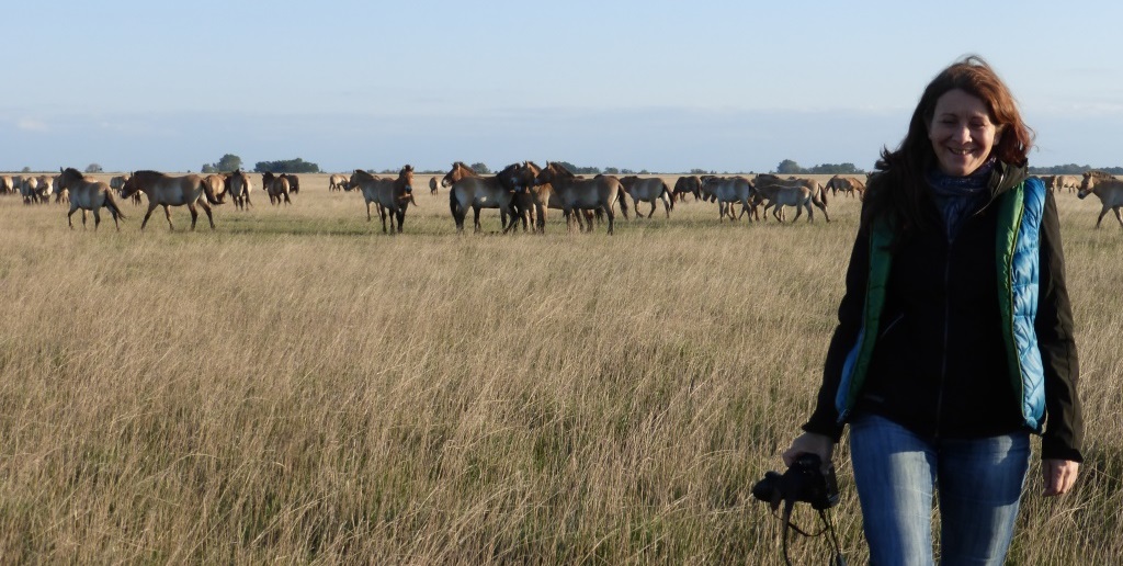 sample content image